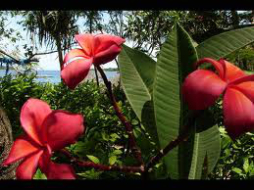 Visita Honduras&nbsp;Terra de destinos y sueños&nbsp;&nbsp;