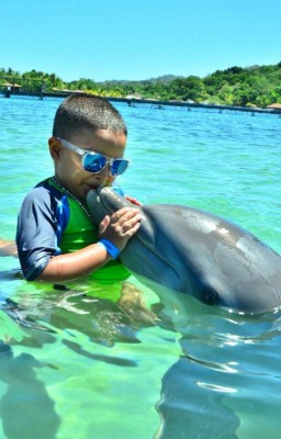Delfines, una saludable compañía