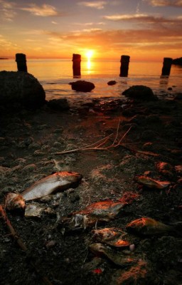El lago apocalíptico que amenaza a EE.UU. con una catástrofe ecológica