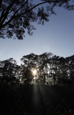 Las Fotos de la Semana