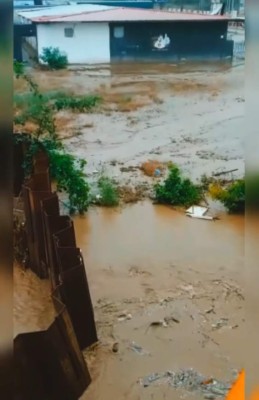 FOTOS: Un Valle de Sula anegado se prepara para más inundaciones