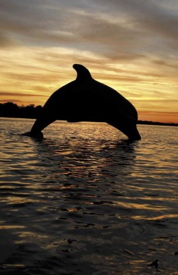 Amaneceres y atardeceres