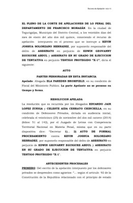Documento íntegro del fallo contra Kevin Solórzano