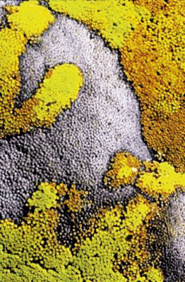 Bellas imágenes de un Chile desconocido