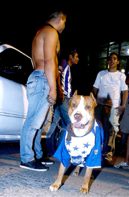 Honduras celebra a lo grande la clasificación