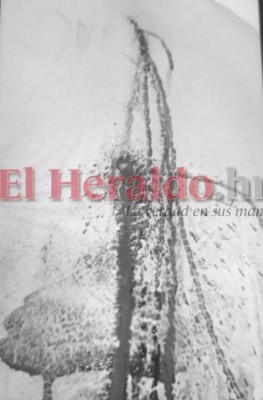 Dantesco: Las imágenes que deja la reyerta en el interior de la cárcel La Tolva (FOTOS)