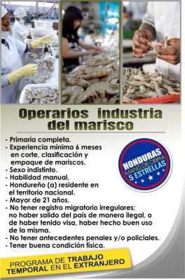 ¿Cómo aplicar a visas de trabajo para Estados Unidos?