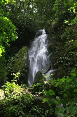 La Mosquitia hondureña, imponente escenario biológico