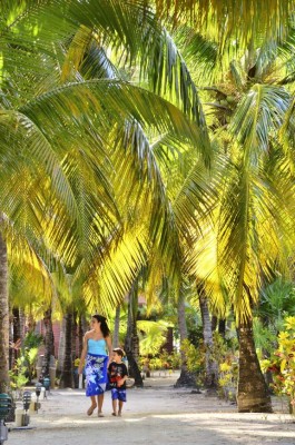 Encantos del caribe reunidos en un solo lugar: Roatán