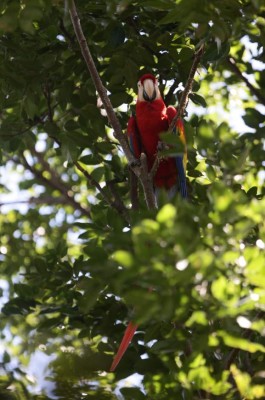 Intimidad con la naturaleza un sueño hecho realidad en Maya Key