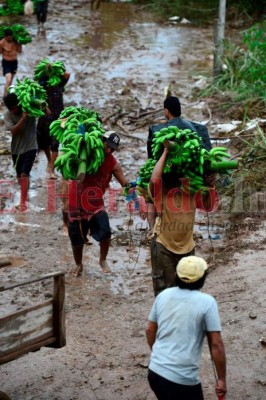 ¡Imágenes que duelen! Las duras secuelas de Eta a su paso por Honduras