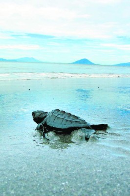 La ciudad de Choluteca, epicentro del turismo en la región sur de Honduras