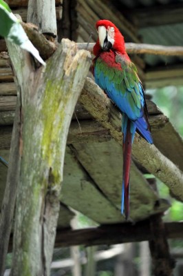 Los inquilinos del Rosy Walther siguen atrayendo a los capitalinos
