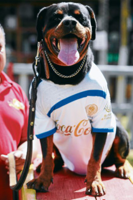 Final Olimpia-Victoria: ¡Esto se pone perro!