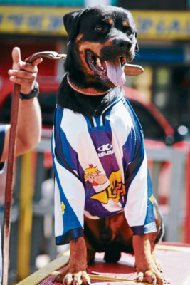 Final Olimpia-Victoria: ¡Esto se pone perro!