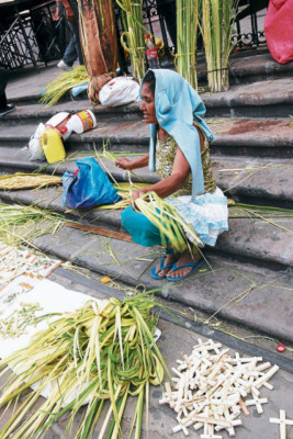 Unos 60 mil católicos portarán sus palmas de olivo