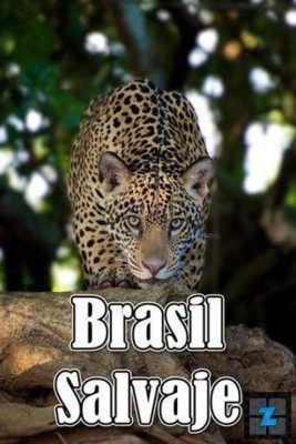 Brasil salvaje