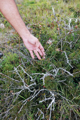 La Esperanza, un encuentro con la naturaleza