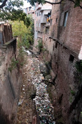 Alarmante repunte de chikungunya y dengue