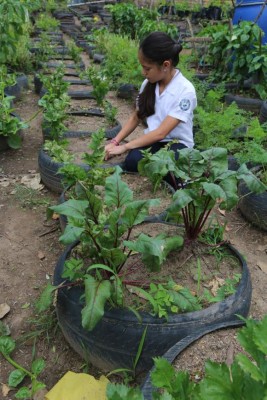 Gobierno escolar tomó las riendas de Escuelas Amigables