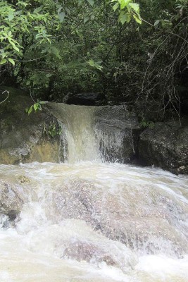 Las Fotos de la Semana en ElHeraldo.hn