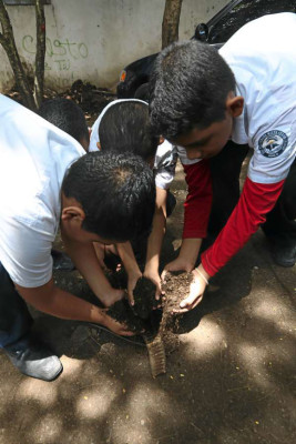 Nuestros pequeños ambientalistas aprenden a elaborar abono orgánico