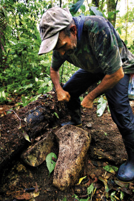 Emergen vestigios de Ciudad Blanca