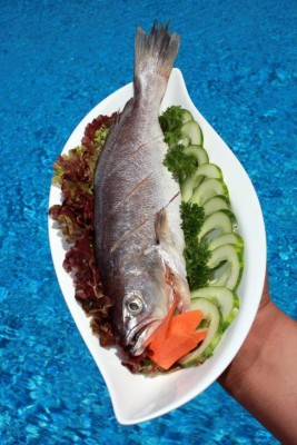 Alimentos para la inteligencia