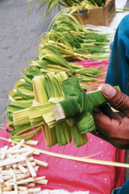 Unos 60 mil católicos portarán sus palmas de olivo