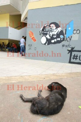 El ambiente de este viernes en la Universidad Nacional Autónoma de Honduras tras varias semanas de tomas