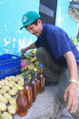 La apicultura, rubro generador de ingresos en aldeas de El Paraíso