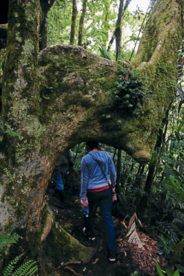 Un viaje para descubrir La Tigra