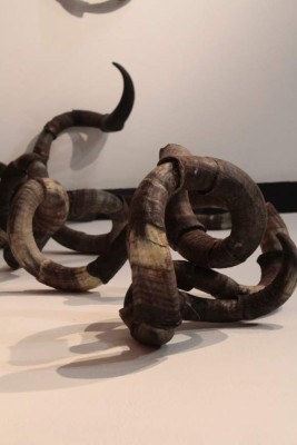 El que esté libre de culpa, que tire la primera flor&nbsp;&nbsp;