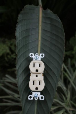 Que no lo agarren en 'stand by”...