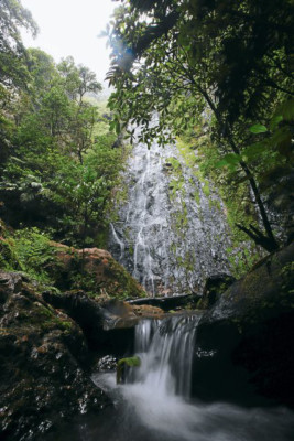 Un viaje para descubrir La Tigra