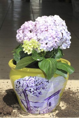 Devuélvale la vida a su jardín