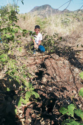 Piden evacuar a quienes habitan cerca de hundimientos