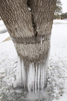 Impactantes fotos de la tormenta invernal en Estados Unidos