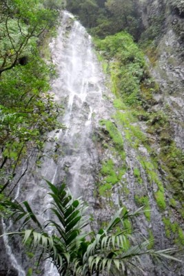 Las Fotos de los Lectores