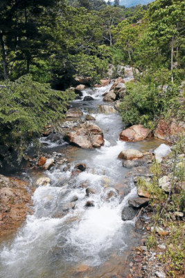 La historia se esconde tras un verde paraje