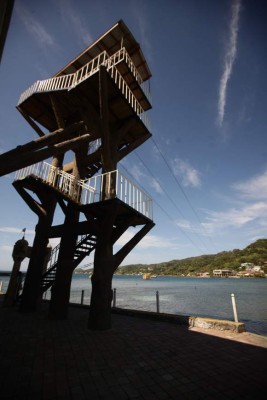 Cultura y adrenalina al visitar el Museo del Jade y el canopy Monkey La-La Zip