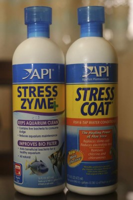 Acuariofilia, cuidado de los peces