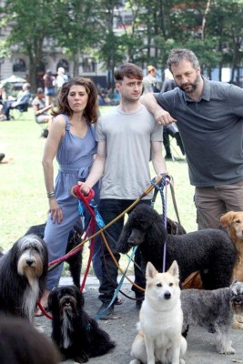 Daniel Radcliffe el paseador de perros