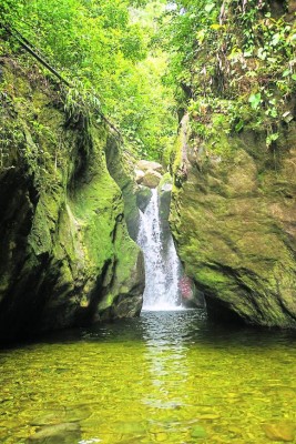 Pico Bonito, un espléndido edén de vida silvestre en la novia de Honduras
