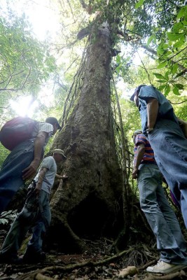 Las Fotos de la Semana en ElHeraldo.hn