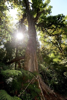 Las Fotos de la Semana en ElHeraldo.hn