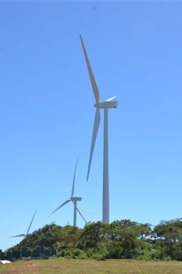 San Marcos de Colón, tierra de helechos y bellezas naturales