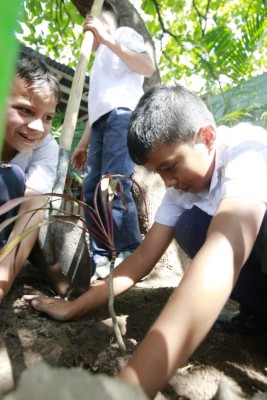 Escuela Lisandro Quezada transforma sus espacios ecológicos