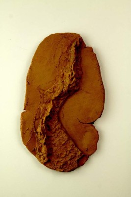 Medardo Cardona: La cartografía como memoria de la ciudad