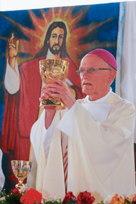 Católicos presencian ordenación del nuevo jerarca eclesial del sur
